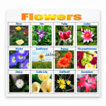 Flowers Chart